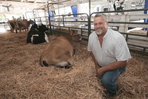 Dairy duty